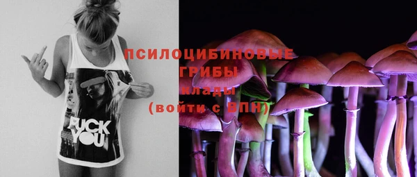 эйфоретик Краснотурьинск